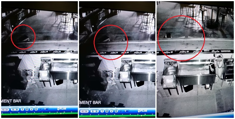 V tomto pivovaru podle zaměstnance straší! Video zachytilo nadpřirozené jevy