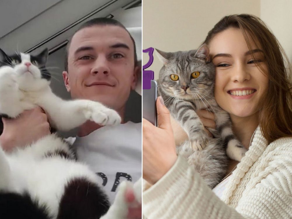 Nedaří se vám selfie s vaší kočkou? S touto pomůckou vám to půjde snadno