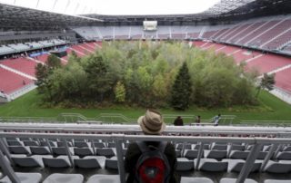 Umělec nechal na&nbsp;stadionu vyrůst les, má lidi vyburcovat
