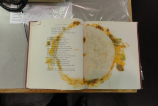 Nemáte záložku? Zkuste taco! Knihovnice sdílela děsivé překvapení