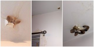 Vadí vám váš domácí? Tahle galerie vám ukáže, že může být i&nbsp;hůř