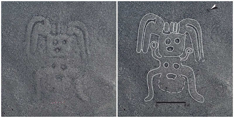 Nádhera! Umělá inteligence našla 143 nových obrazců na planině Nazca. Jsou tisíce let staré