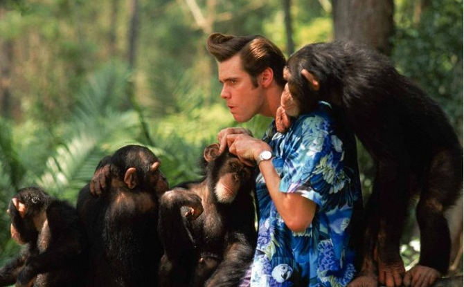 Čeká nás Ace Ventura 3? Tweet produkční společnosti nažhavil fanoušky