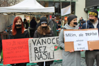 Tiché uličky pro&nbsp;kapry upozorní na&nbsp;utrpení vánočních ryb