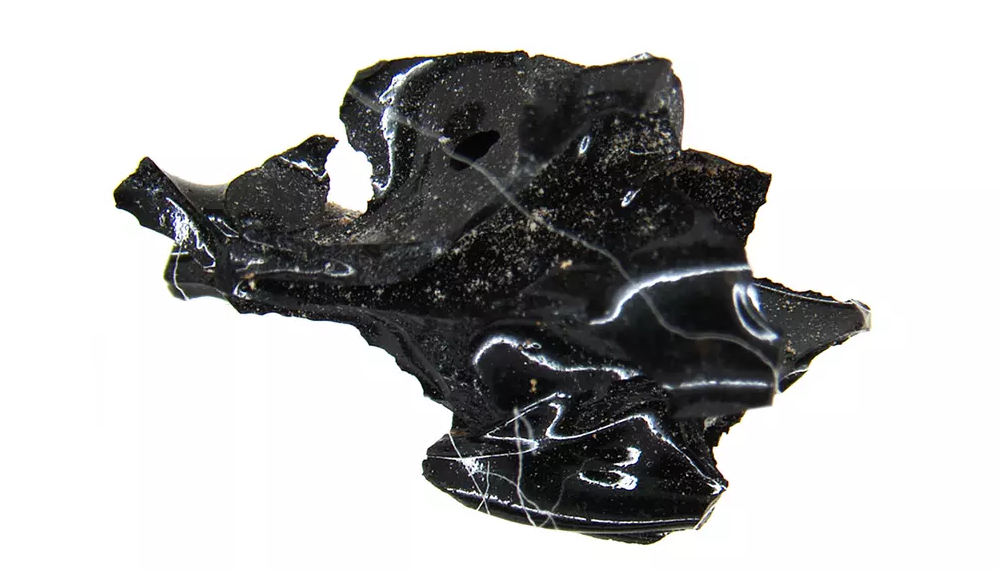 Erupce Vesuvu proměnila mozek oběti ve sklo, zjistili vědci