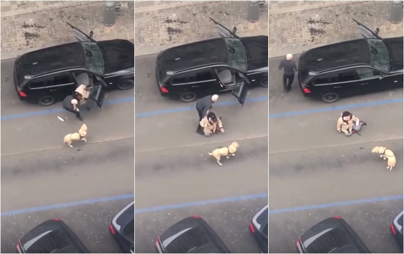 Taxikář násilím vytáhl z&nbsp;auta nevidomou ženu a&nbsp;hodil ji na&nbsp;zem. Nechtěl vzít asistenčního psa