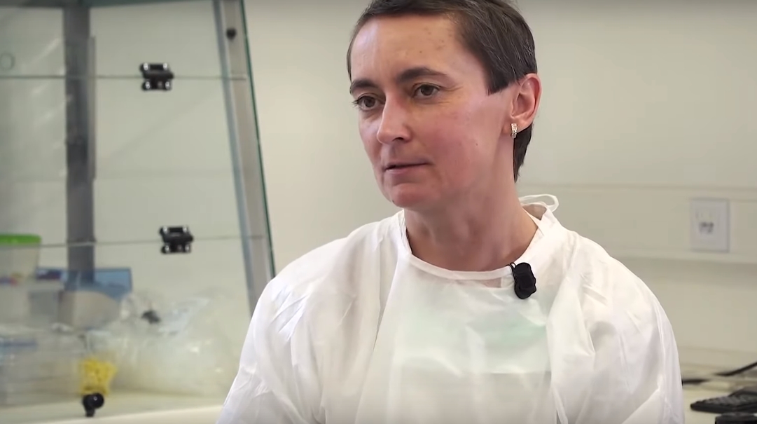 Soňa Peková: Koronaviry jsou obyčejně ťulpasové. Je možné, že tento virus byl pozměněn v laboratoři