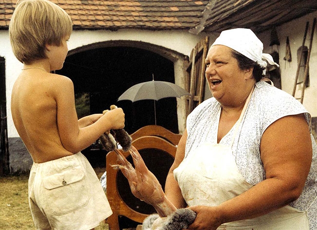 Jak dobře znáte legendární trilogii Slunce, seno…? Otestujte se v&nbsp;našem kvízu!