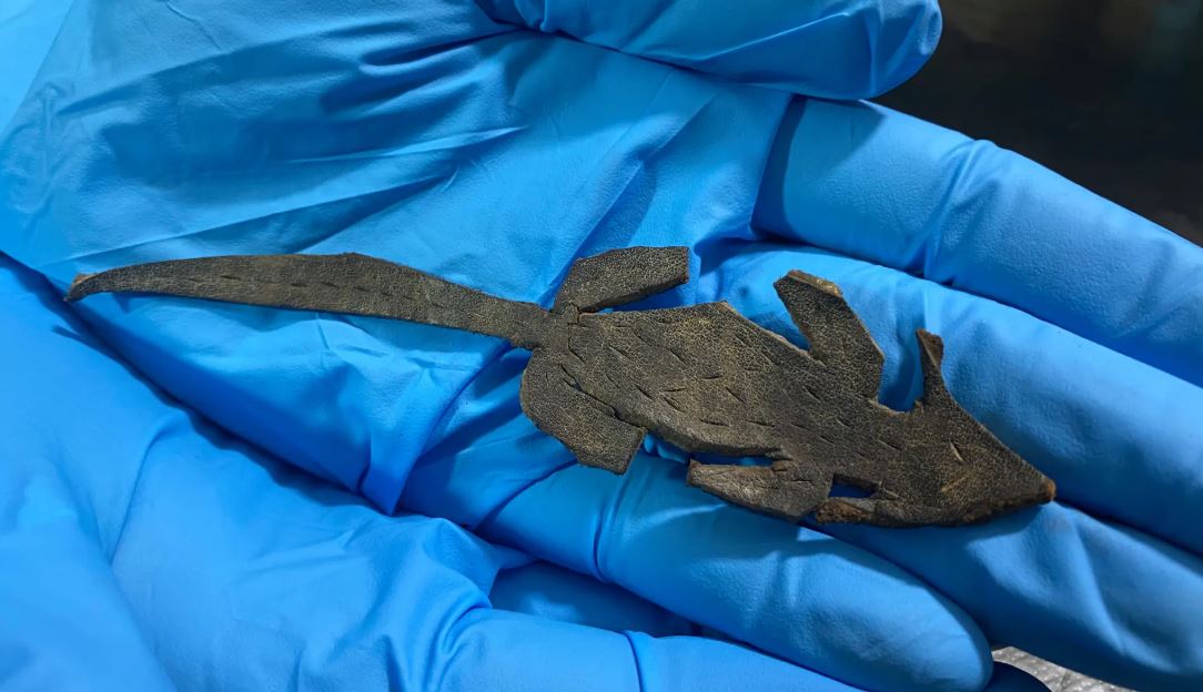 Archeology nadchla kožená myš. Dokazuje prý hravou stránku starých Římanů