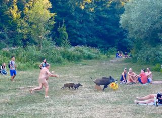 Nudista v&nbsp;Berlíně honil divočáka, utekl mu s&nbsp;laptopem