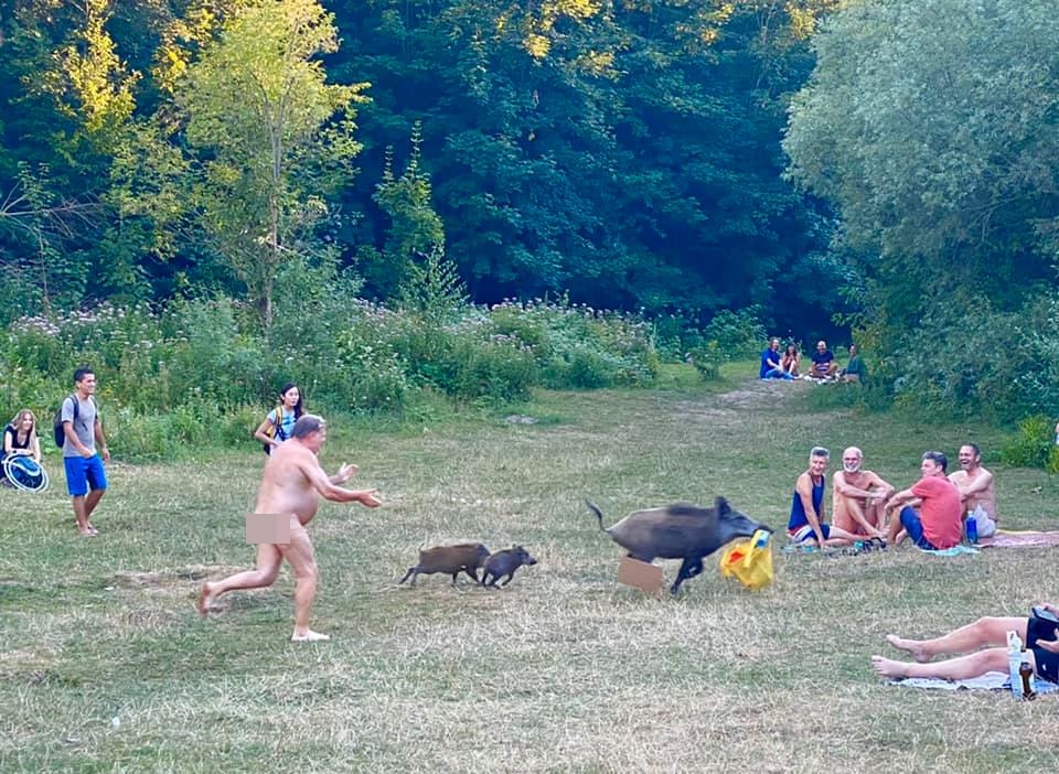 Nudista v&nbsp;Berlíně honil divočáka, utekl mu s&nbsp;laptopem