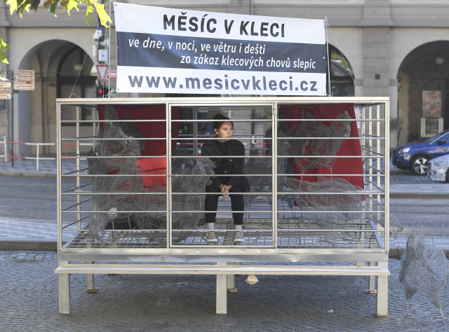 Povedlo se. Sněmovna zakáže klecové chovy slepic v&nbsp;ČR od roku 2027