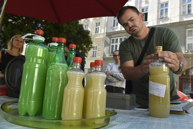 Inspekce: Půlka kontrolovaných prodejců burčáku porušila předpisy
