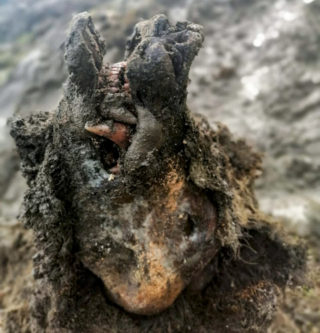 Sibiř vydala zachovanou mumii medvěda z&nbsp;doby ledové