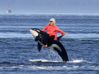 Něco pro&nbsp;pobavení: Paula Deen, která jezdí na&nbsp;různých věcech