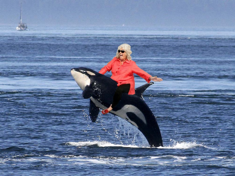 Něco pro pobavení: Paula Deen, která jezdí na různých věcech