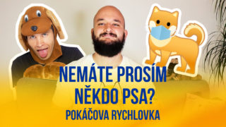 Pokáčova rychlovka: Nemáte prosím někdo psa?