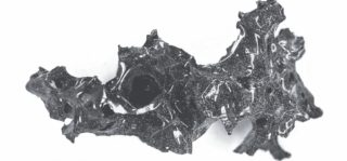 Úžasný nález: V&nbsp;Herculaneu byl nalezen mozek změněný ve sklo