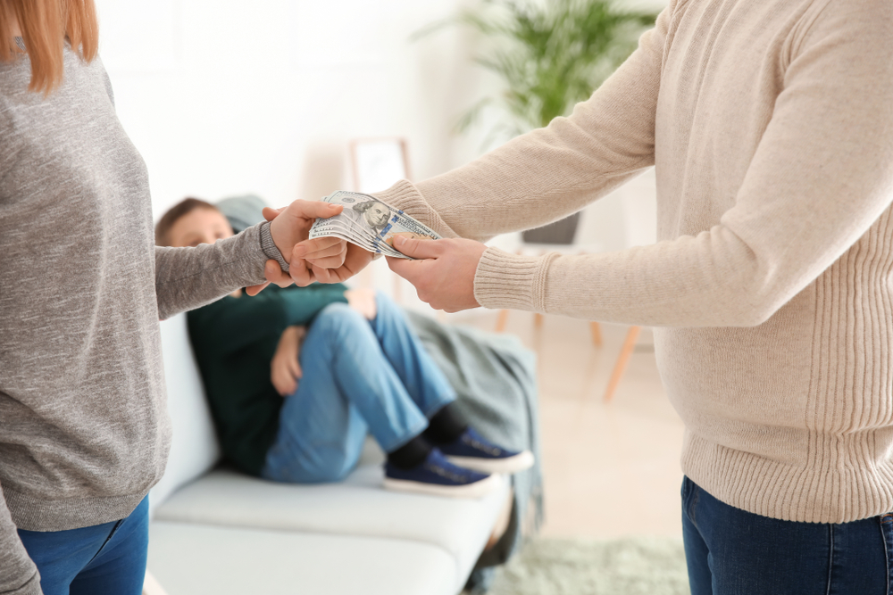 Za neplatiče alimentů zřejmě bude poskytovat výživné na&nbsp;děti stát