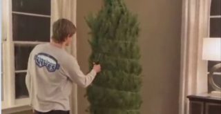 »Nejhorší stromeček na&nbsp;světě« se okamžitě rozpadl. Podle lidí naprosto vystihuje letošní rok