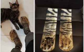 Muž šokoval svou kočku ponožkami, které vypadají jako kočičí tlapky