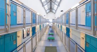 Chlapík se nechal zavřít z&nbsp;opravdu kuriózního důvodu: Chtěl mít klid od spolubydlícího