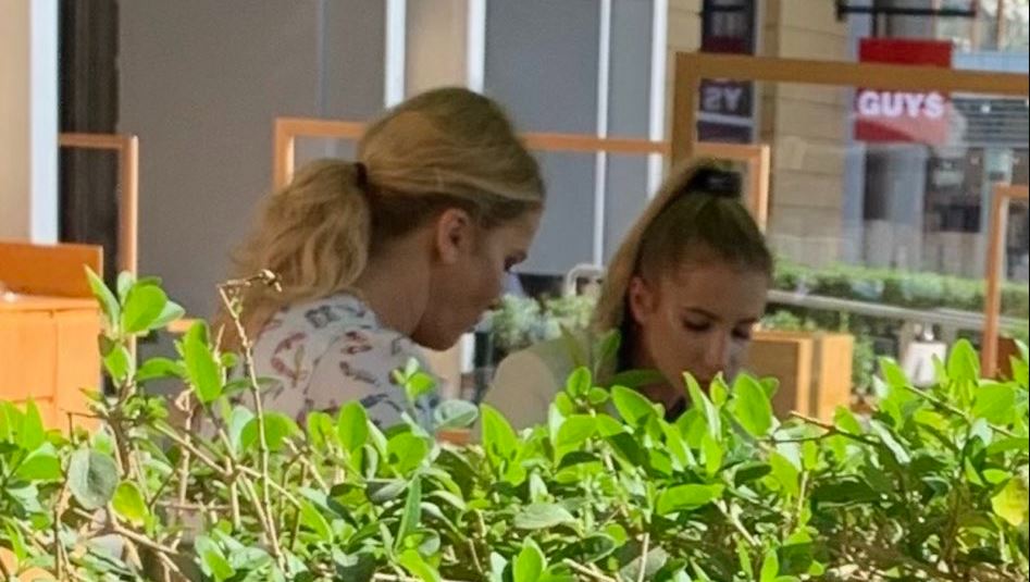 Kmenta udeřil na&nbsp;Babiše: Je tohle dovolená? Kauza Babišové v&nbsp;Dubaji rozděluje Čechy