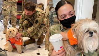 Nádherné gesto: Osamoceným vojákům přišli udělat radost čtyřnozí chlupáči