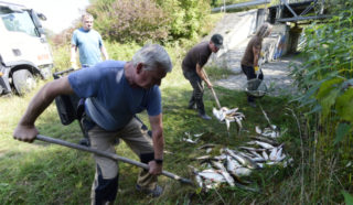 Za otravu Bečvy nemůže Deza. Podle znalce viník je znám