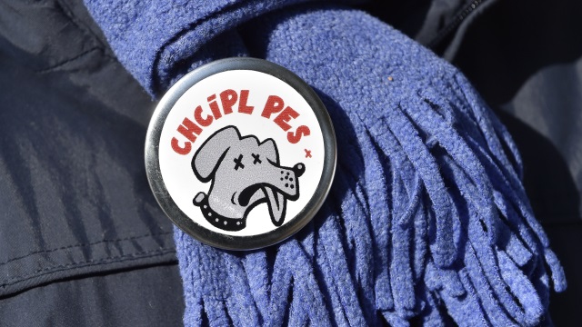 Iniciativa Chcípl PES žádá demisi vlády a&nbsp;hodlá kandidovat ve volbách