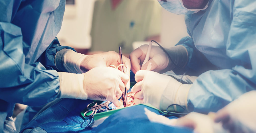 Nalákali je na&nbsp;dobře placenou práci v&nbsp;Mexiku. Místo toho přišli o&nbsp;orgány