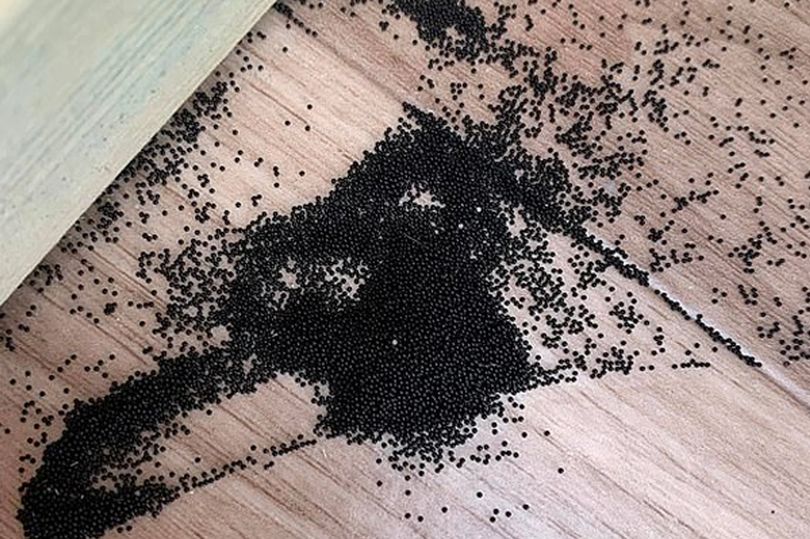Matka našla v&nbsp;domečku pro&nbsp;děti děsivé černé kuličky. Nikdo neví, co to je