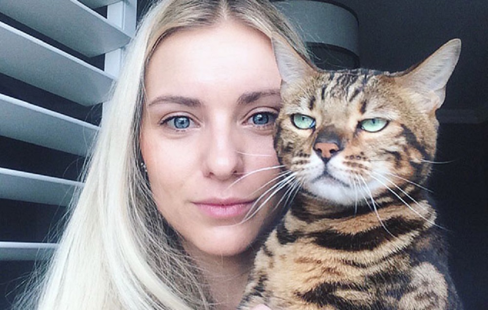 Deset důkazů toho, že kočky nerady fotí selfie