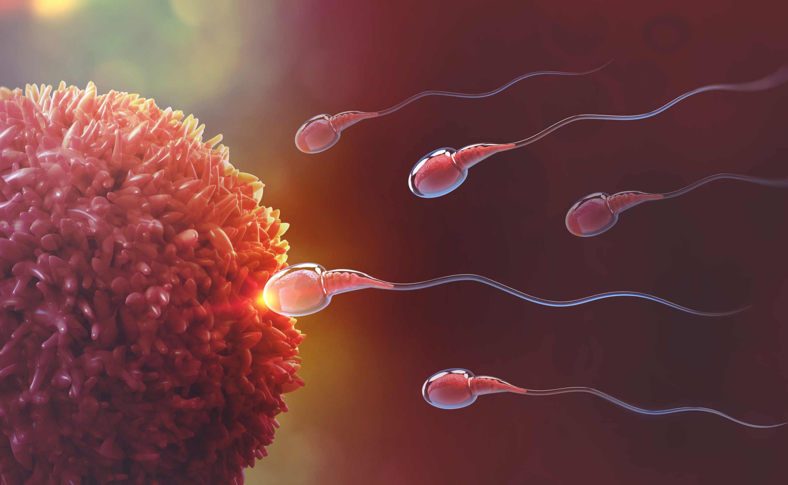 Vědci chtějí vytvořit spermabanku na Měsíci pro případ katastrofy