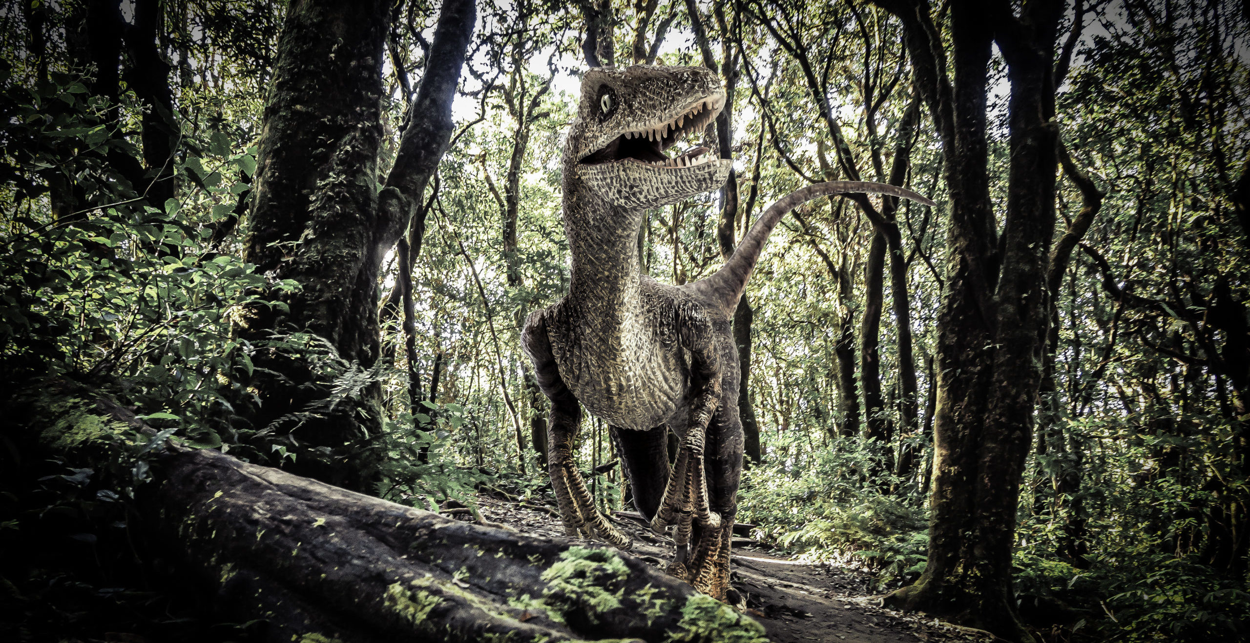 Žena tvrdí, že se jí po zahradě proháněl dinosaurus. Nezvaného návštěvníka zachytila kamera