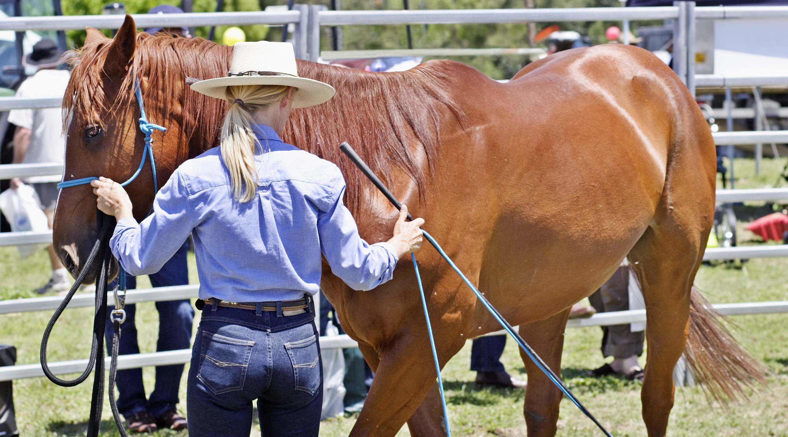 Chtěla poslat přes internet peníze za trénink klisny Isis. Interpol si myslel, že je teroristka