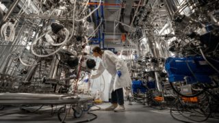 Zvířata mohou začít slavit: V&nbsp;Izraeli se otevřela první továrna na&nbsp;laboratorně vytvořené maso