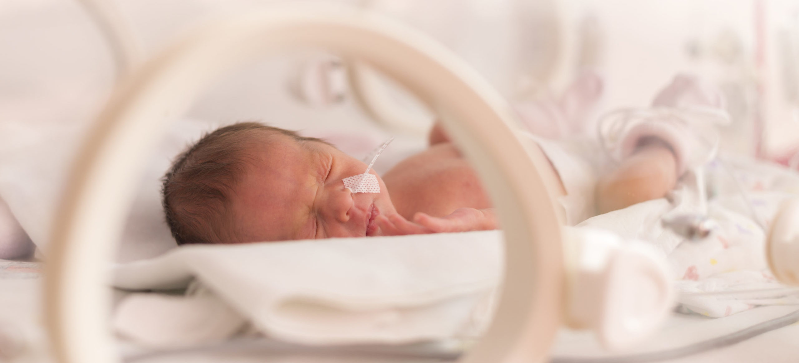 I přes riziko otěhotněla: Čtyřčata se narodila předčasně, první měsíce usilovně bojovala o život