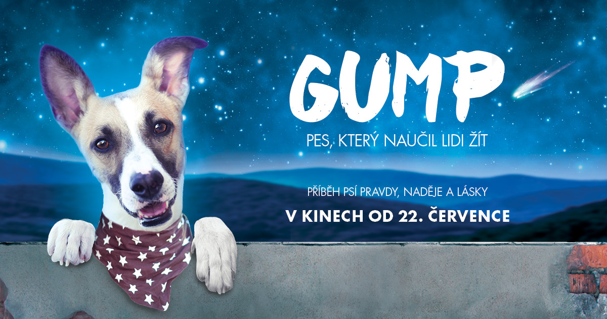 Soutěžte na Frekvenci 1 o dárky k filmu Gump – pes, který lidi naučil žít!