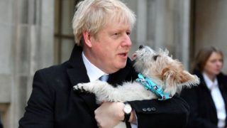 Britský premiér Johnson zažívá kuriózní trapasy: Jeho pes kvůli “milostnému puzení” obskakuje lidem nohy