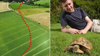 Uprchlá želva za rok ušla necelý kilometr: Její majitel ji tak nakonec šťastně našel