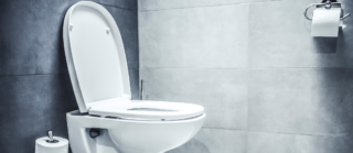 Světový unikát: V&nbsp;Japonsku mohou dámy využít prosklenou toaletu uprostřed zahrady