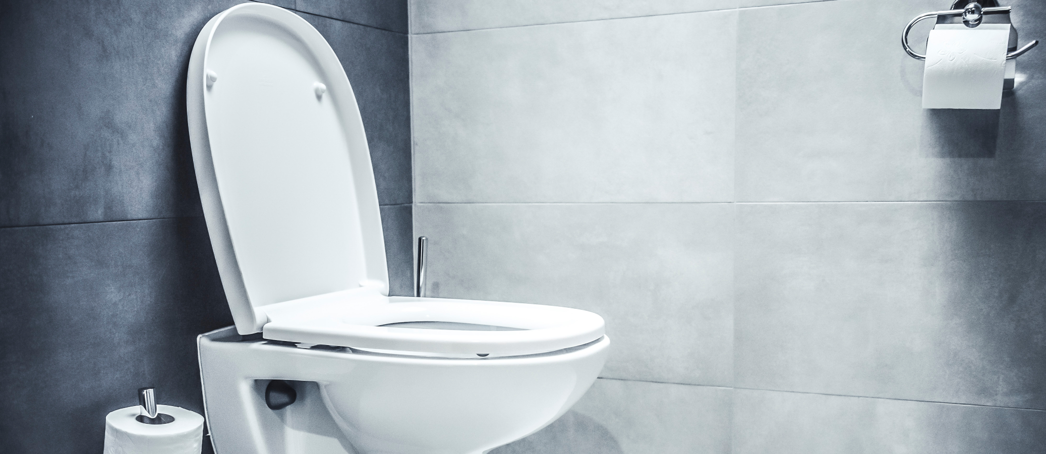 Světový unikát: V&nbsp;Japonsku mohou dámy využít prosklenou toaletu uprostřed zahrady