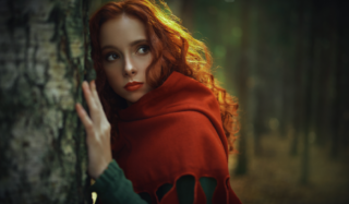 Co o&nbsp;vás říká keltský horoskop? Magie duše podle stromů