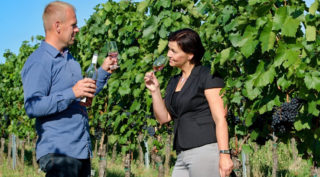 Jan Plaček: Svatomartinská vína se mohou vyrábět jen z&nbsp;určitých odrůd