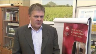 Letošní svatomartinská vína jsou šťavnatá a&nbsp;aromatická, řekl v&nbsp;Press klubu předseda Vinařského fondu Machovec