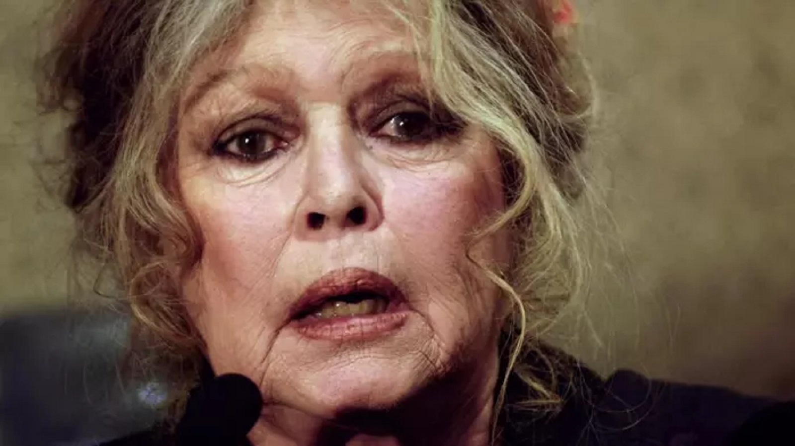 Barbarské tradice? Herečka Brigitte Bardotová musí za urážku obyvatel ostrova Réunion