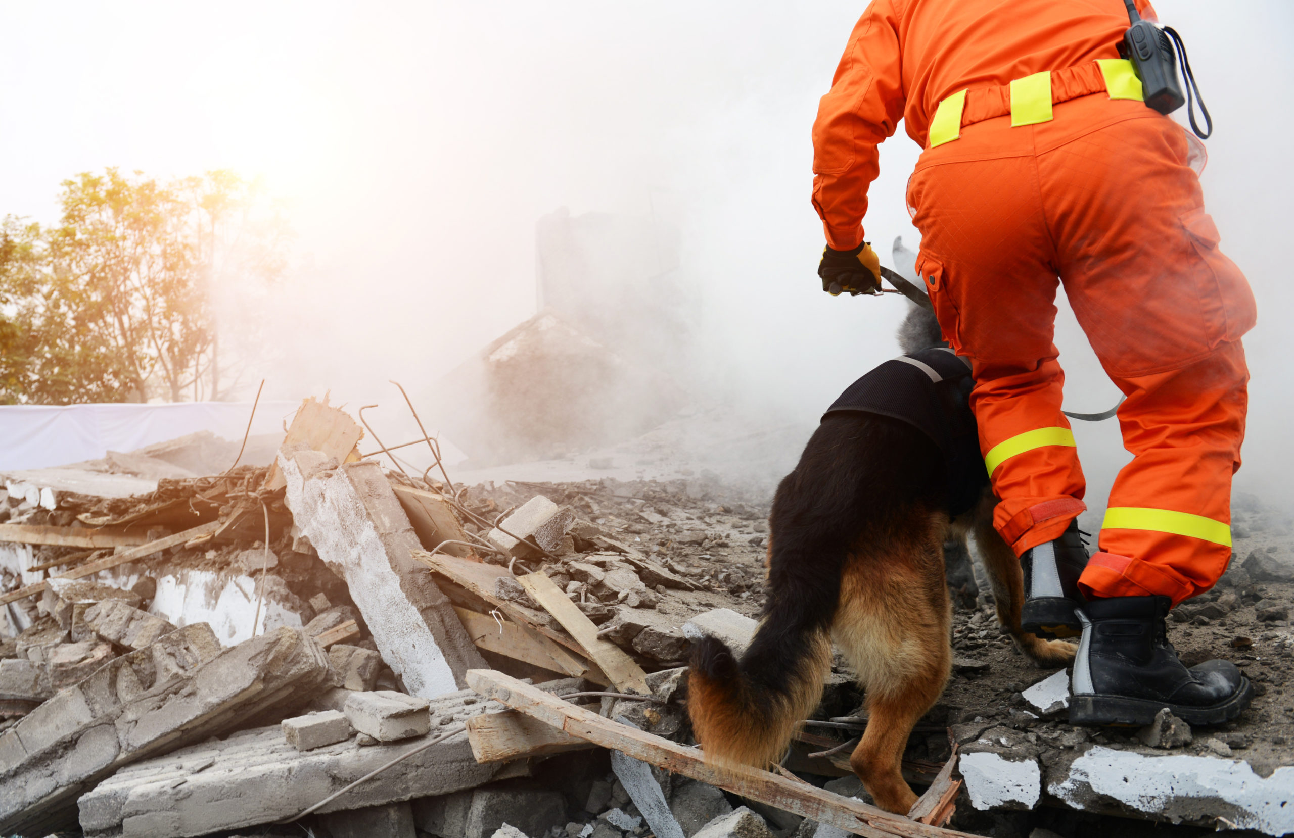 Každý nalezený vlévá záchranářskému psovi naději do žil, uvádí vedoucí K9 RESCUE
