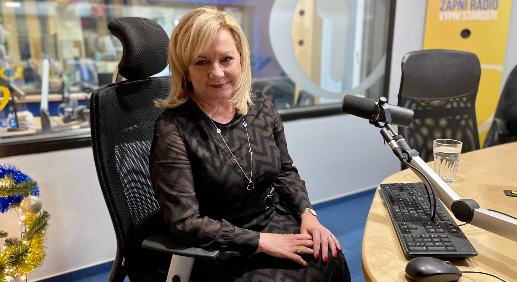 Alena Schillerová: Ozývá se víc a&nbsp;víc lidí, kteří se chtějí dostat na&nbsp;billboardy Za Babiše bylo líp