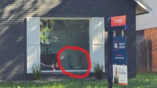 GALERIE: Tohle nejsou obyčejné stavby. Aneb když jde architektura proti nenápadnosti